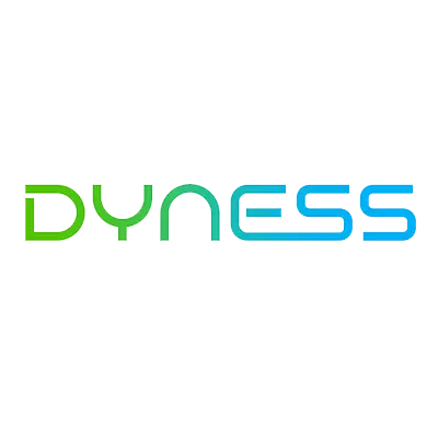 DYNESS